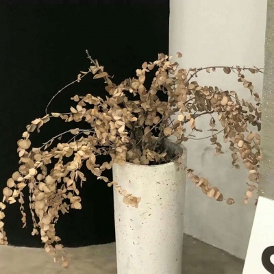 五台FurryQQ群介绍